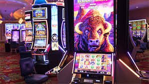 freebitcoin.in Slots